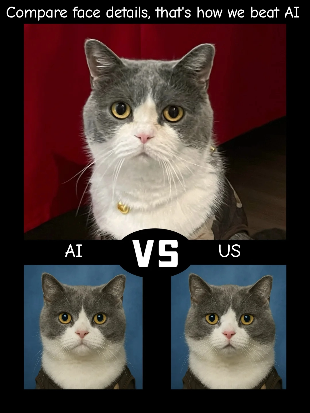 The Perfect Pet ID Photo