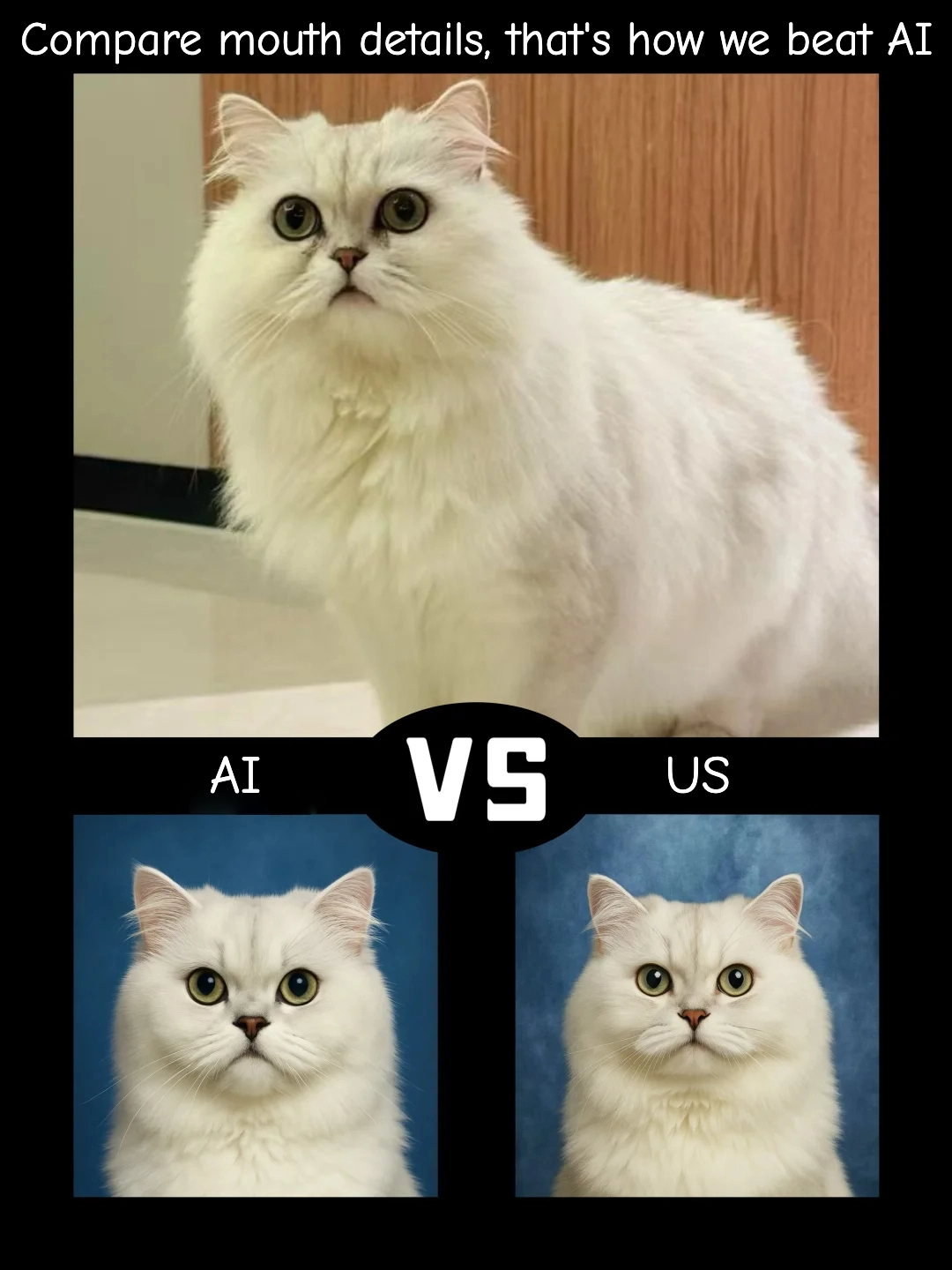 The Perfect Pet ID Photo
