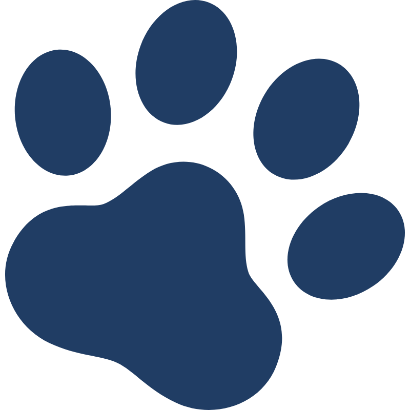 PawBounce