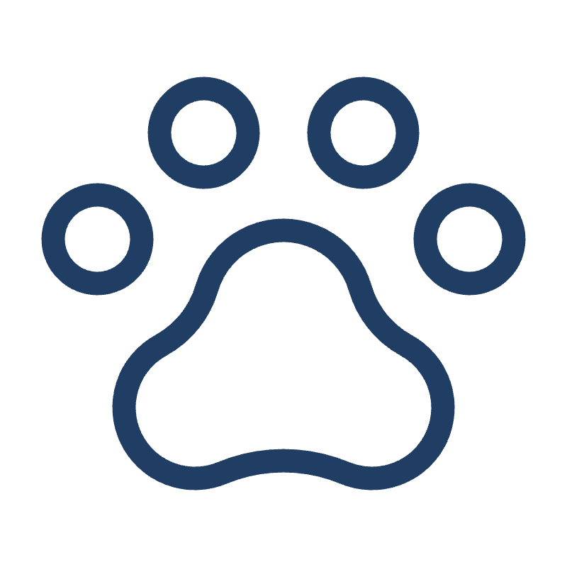 PawBounce
