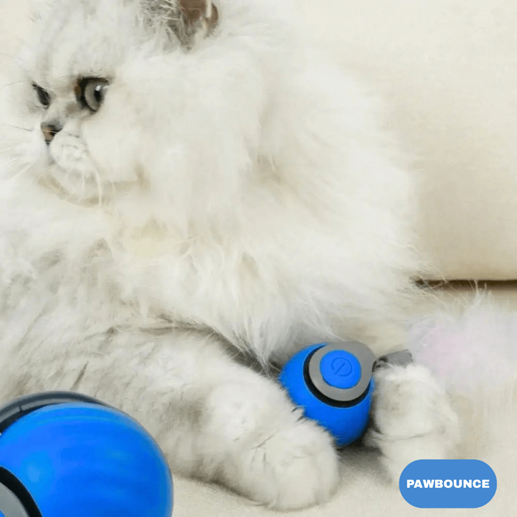 PawBounce