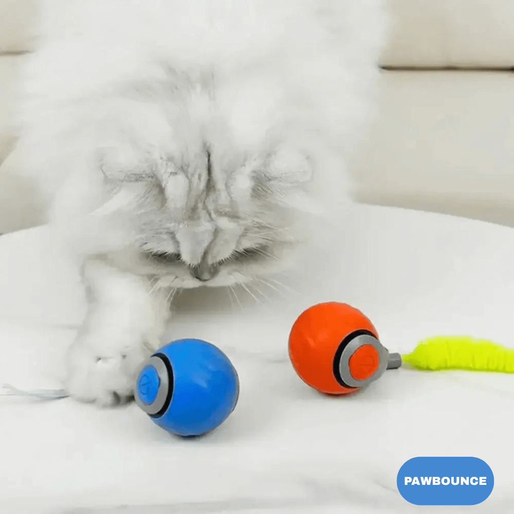 PawBounce