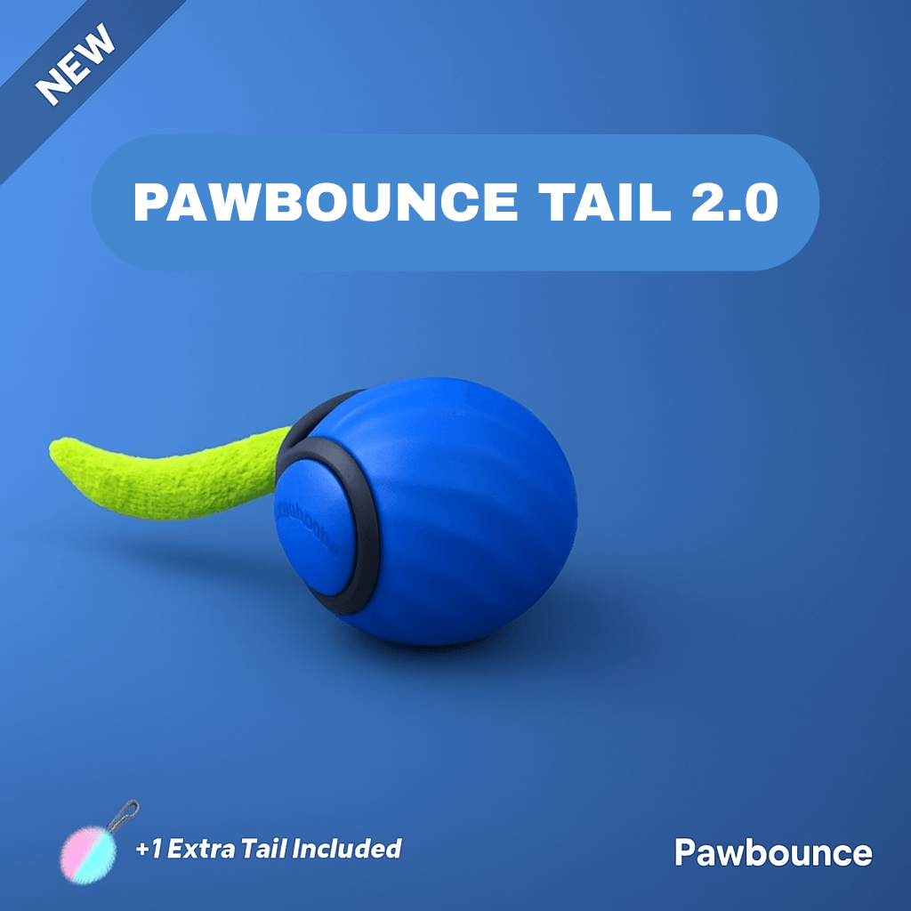 PawBounce